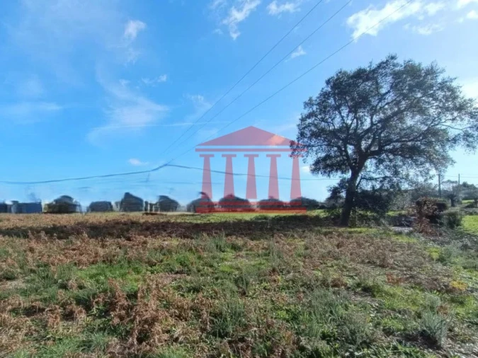 Terreno para Venda em Alheira e Igreja Nova Foto 4