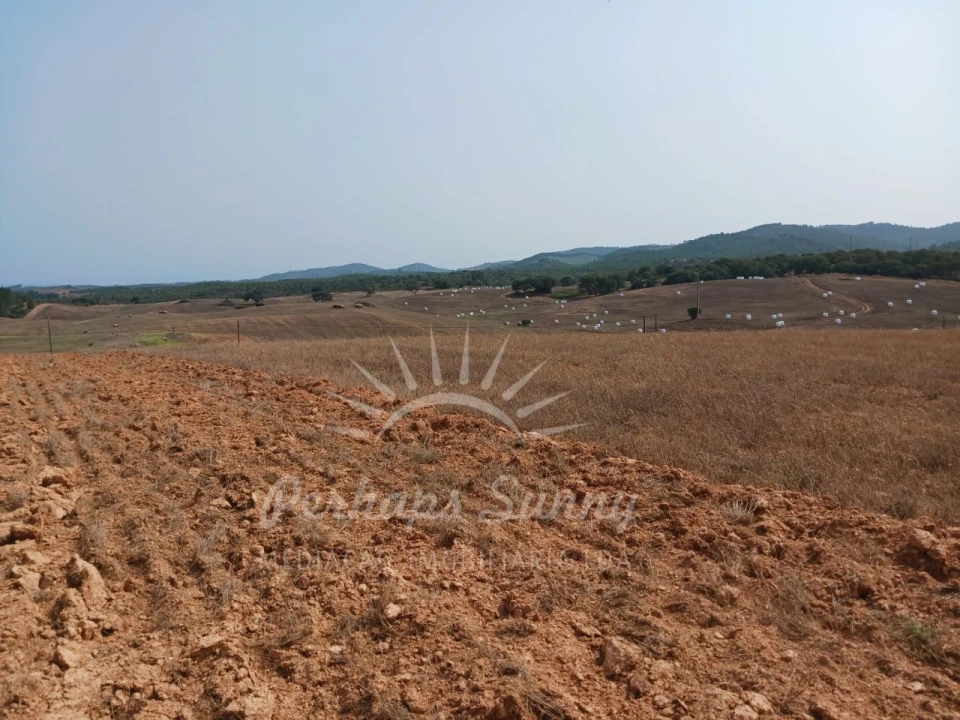 Terreno Misto para Venda em Cercal Foto 4