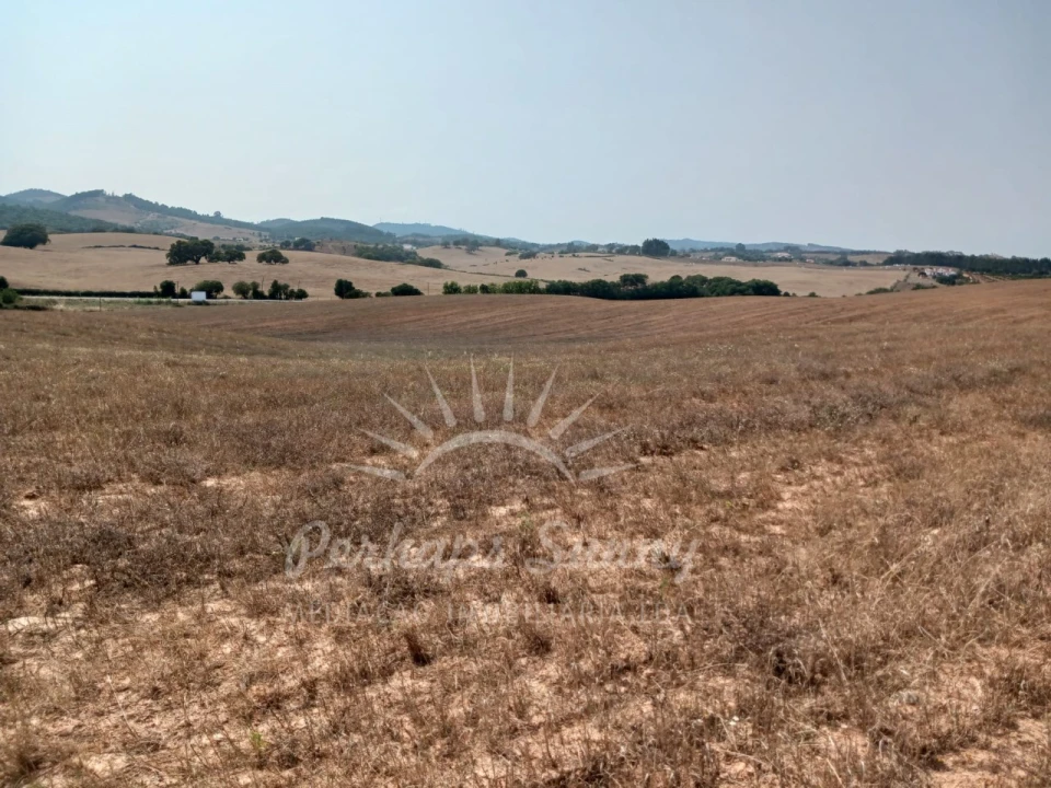 Terreno Misto para Venda em Cercal Foto 13