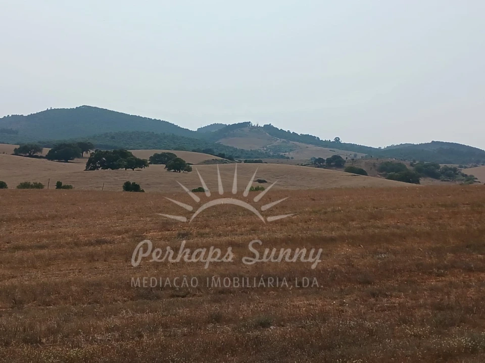 Terreno Misto para Venda em Cercal Foto 16