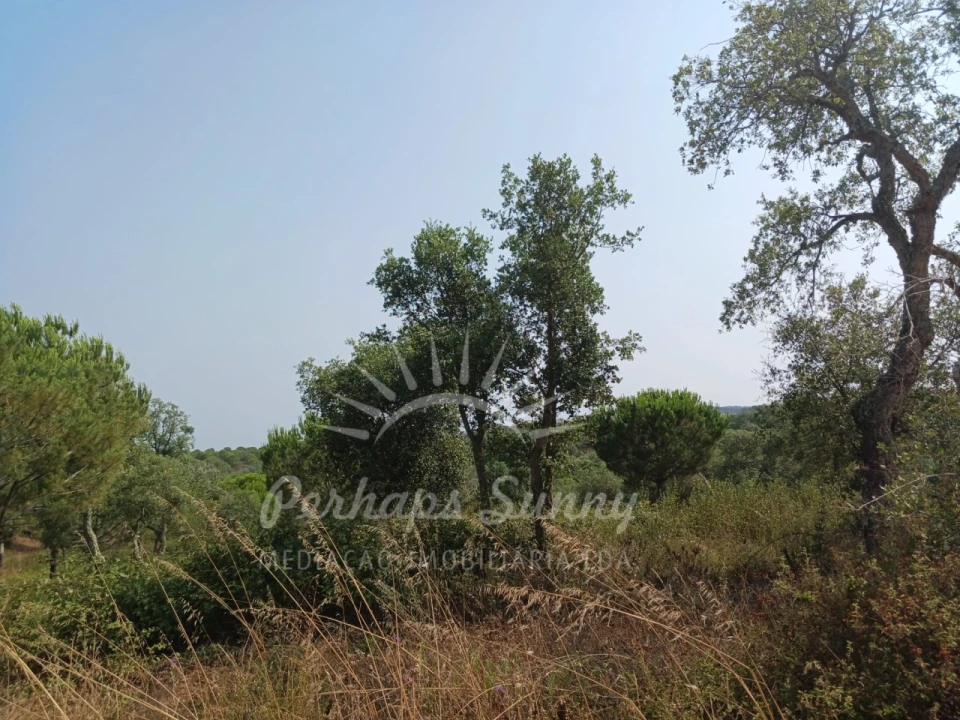 Terreno Misto para Venda em Cercal Foto 18