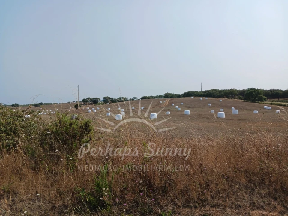 Terreno Misto para Venda em Cercal Foto 22