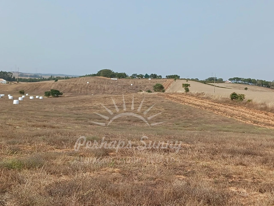 Terreno Misto para Venda em Cercal Foto 23