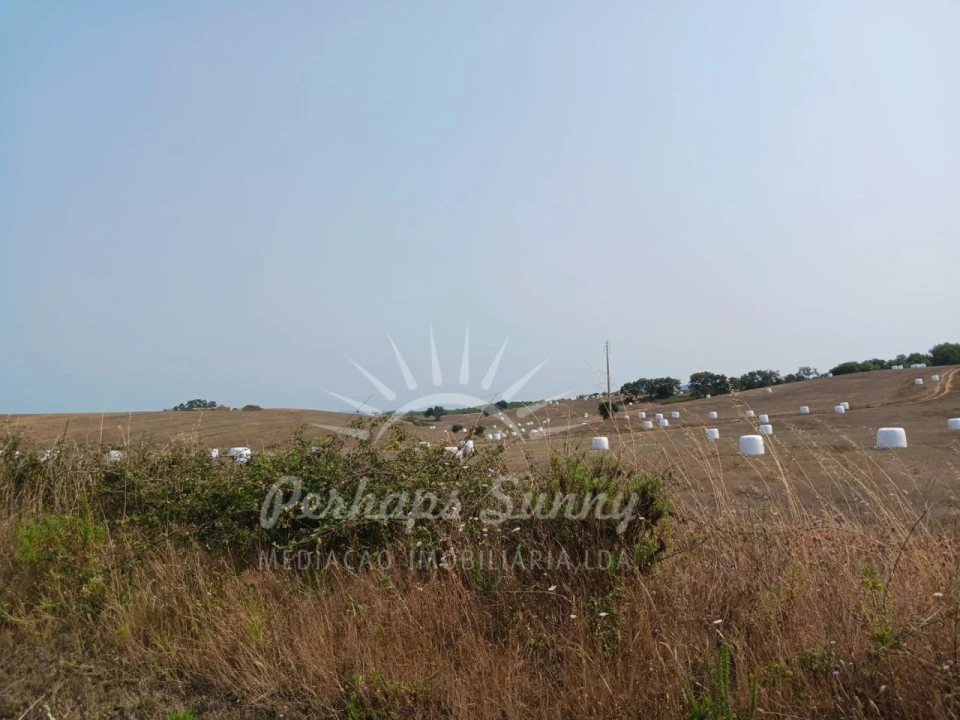 Terreno Misto para Venda em Cercal Foto 24