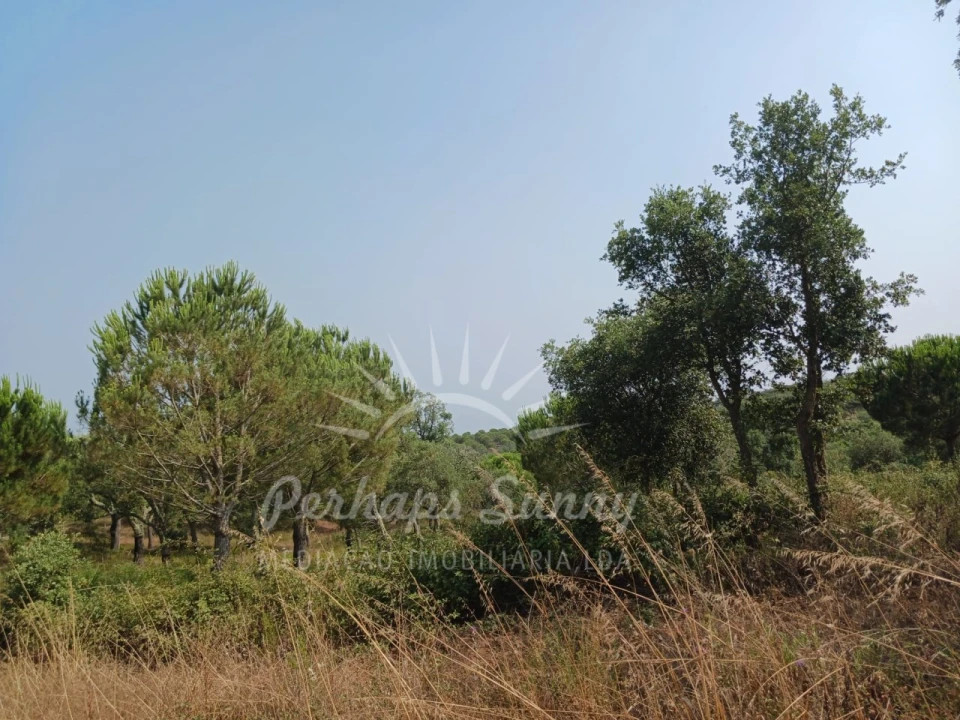 Terreno Misto para Venda em Cercal Foto 25