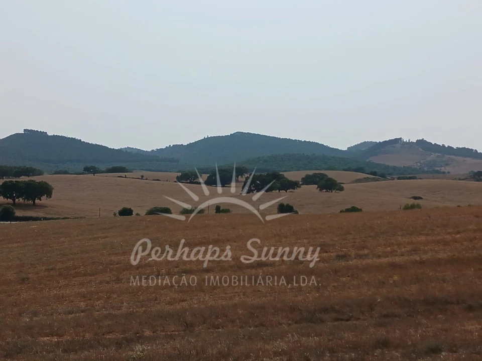 Terreno Misto para Venda em Cercal Foto 30