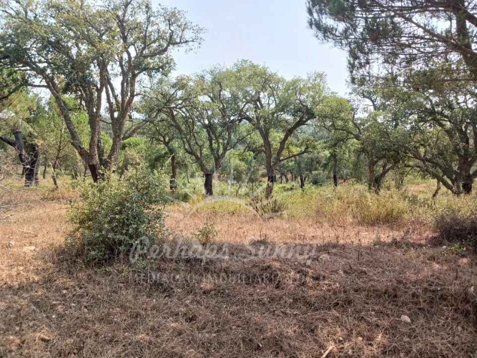Terreno Misto para Venda em Cercal Foto 33
