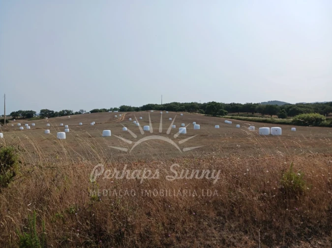 Terreno Misto para Venda em Cercal Foto 1