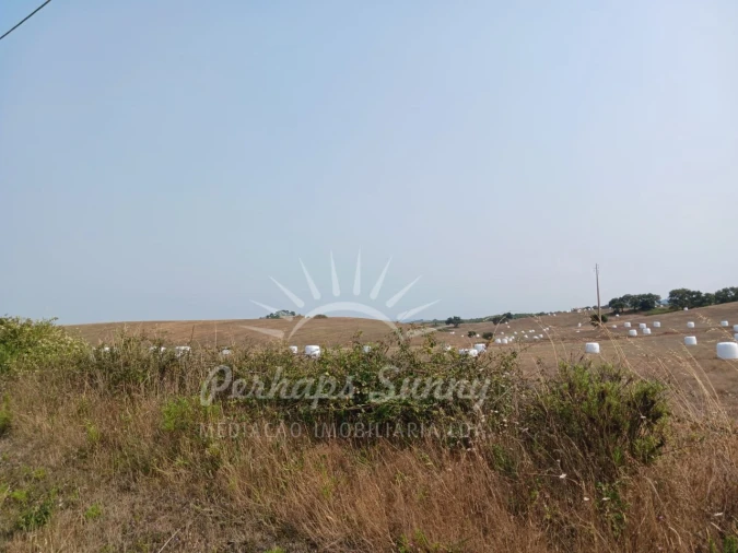 Terreno Misto para Venda em Cercal Foto 2