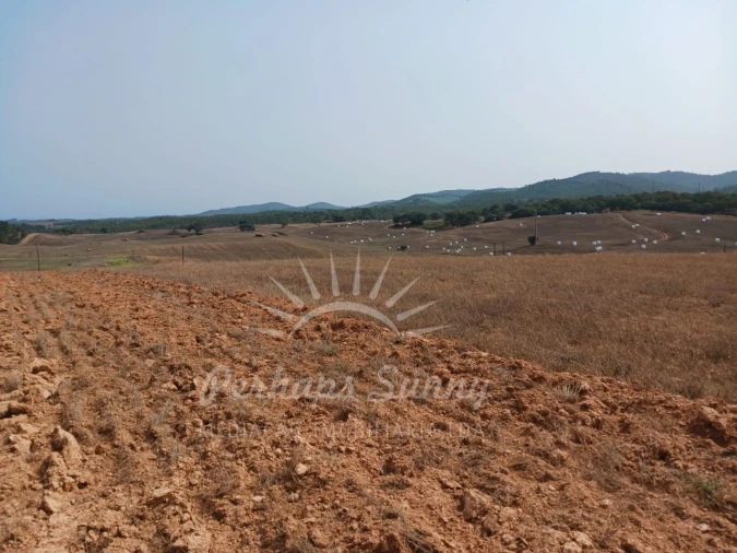 Terreno Misto para Venda em Cercal Foto 4