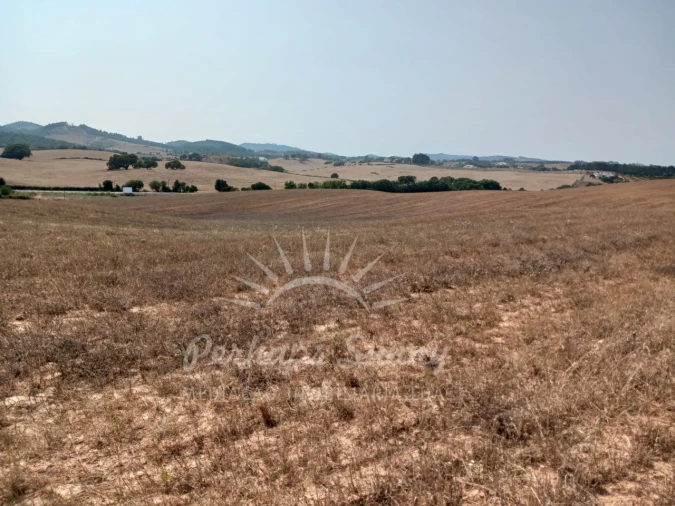 Terreno Misto para Venda em Cercal Foto 13