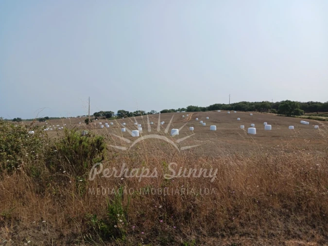 Terreno Misto para Venda em Cercal Foto 22