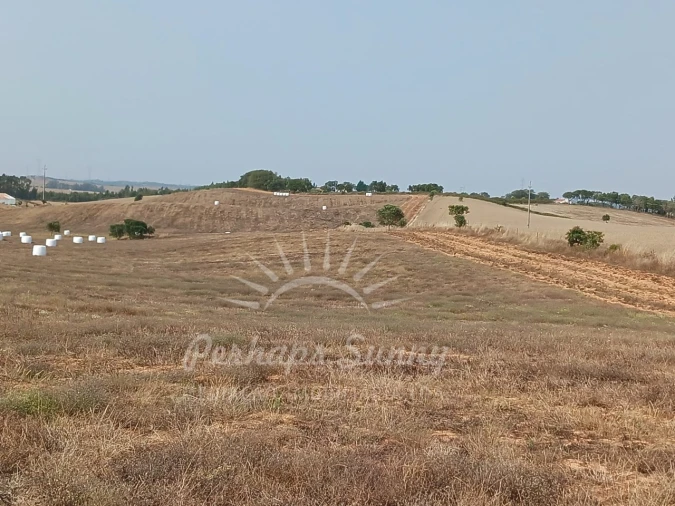 Terreno Misto para Venda em Cercal Foto 23
