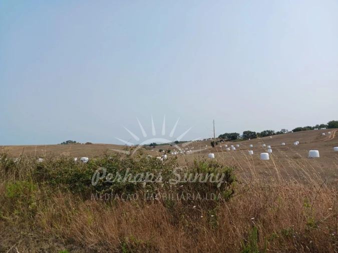 Terreno Misto para Venda em Cercal Foto 24