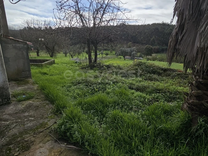 Moradia T3 para Venda em São João da Boa Vista Foto 7