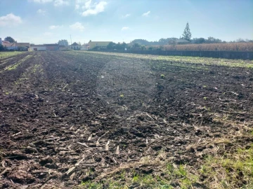 Terreno para Venda em Valega