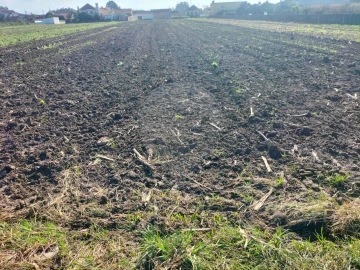 Terreno para Venda em Valega