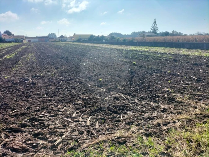 Terreno para Venda em Valega Foto 5