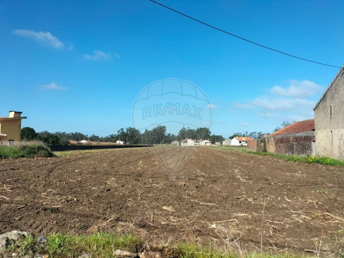 Terreno para Venda em Valega Foto 4