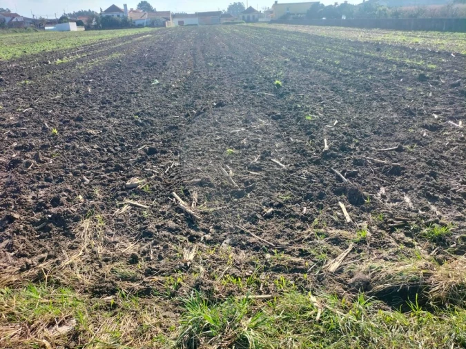 Terreno para Venda em Valega Foto 6
