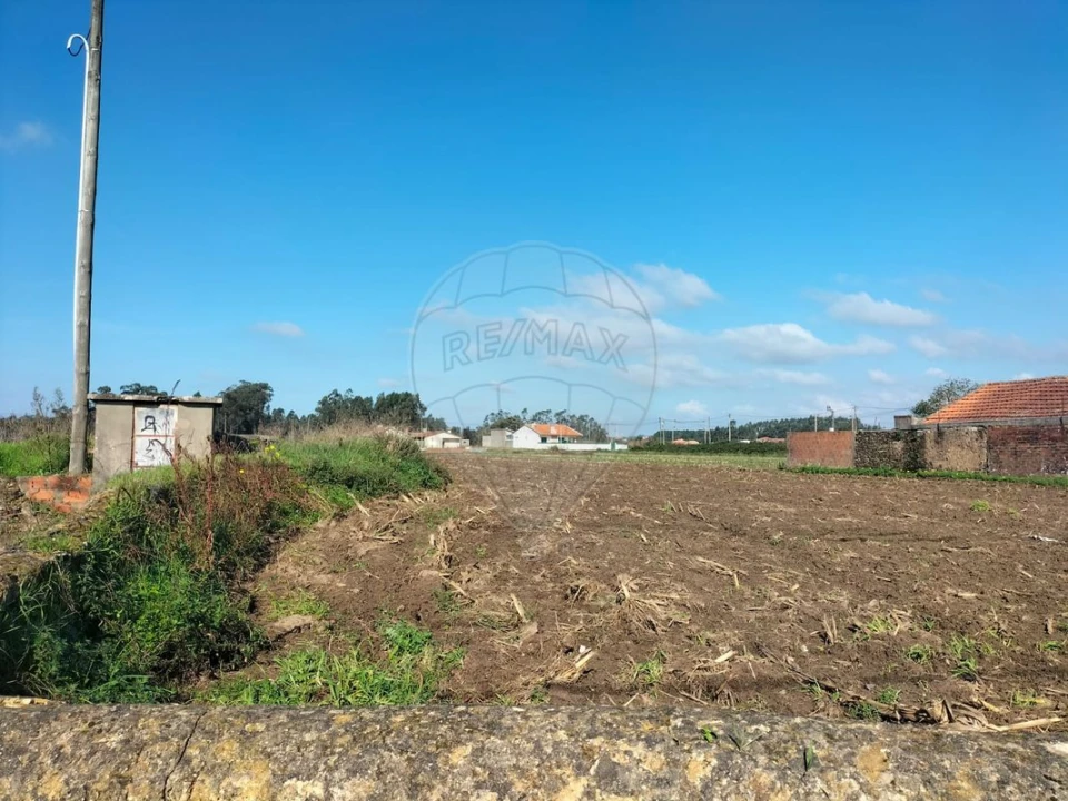 Terreno para Venda em Valega Foto 2