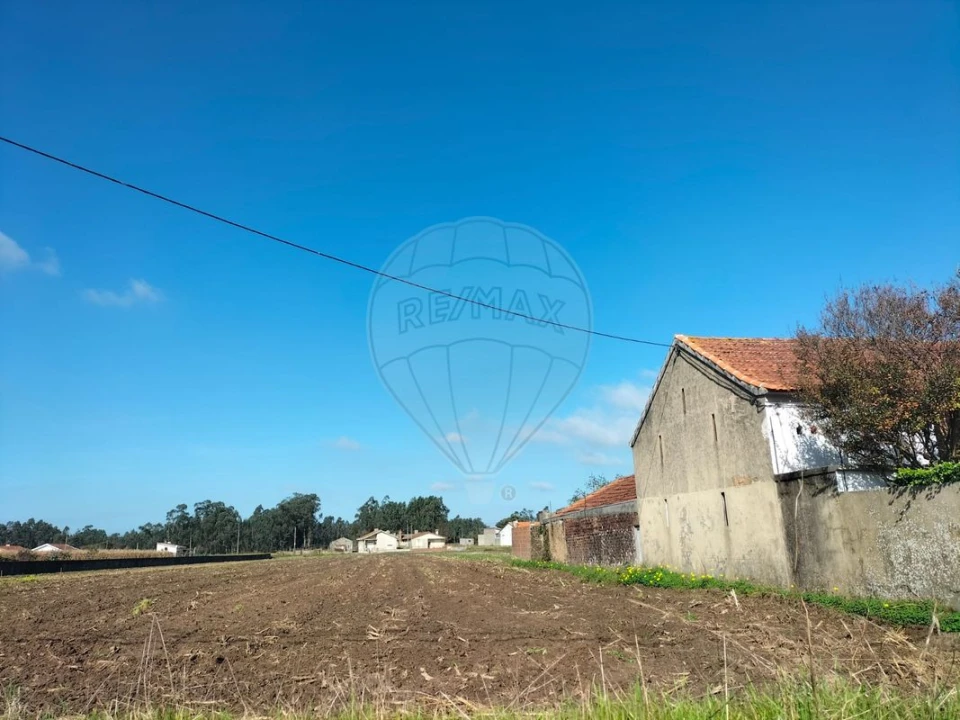 Terreno para Venda em Valega Foto 3