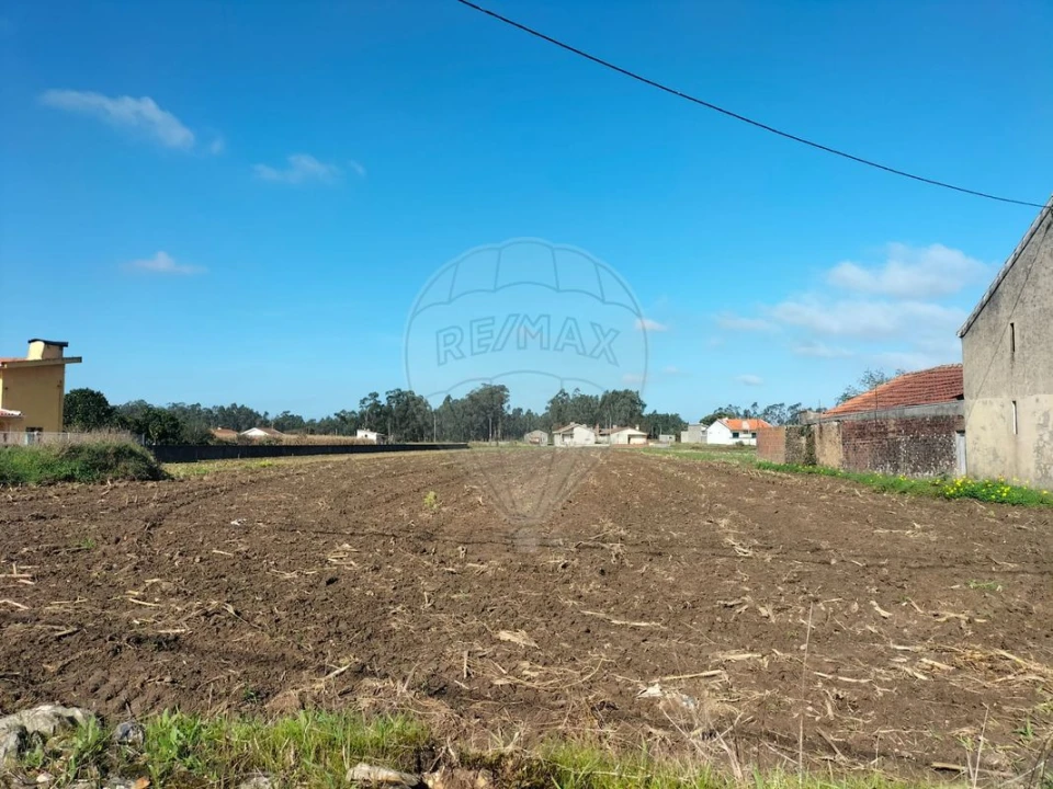 Terreno para Venda em Valega Foto 4