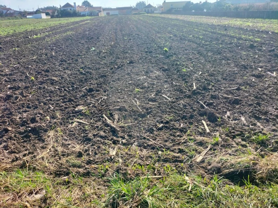 Terreno para Venda em Valega Foto 6