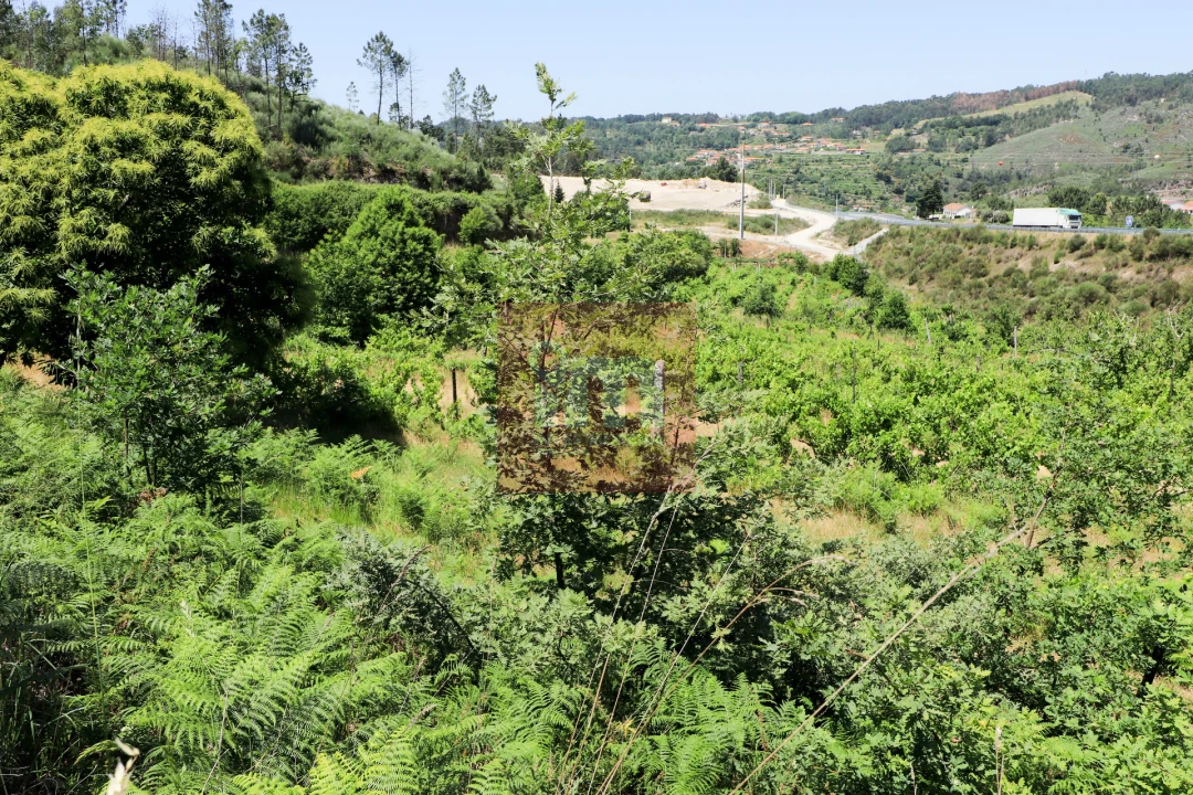 Quinta T0 para Venda em Amarante (São Gonçalo), Madalena, Cepelos e Gatão Foto 26