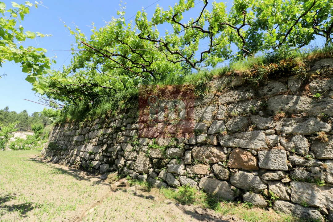 Quinta T0 para Venda em Amarante (São Gonçalo), Madalena, Cepelos e Gatão Foto 40