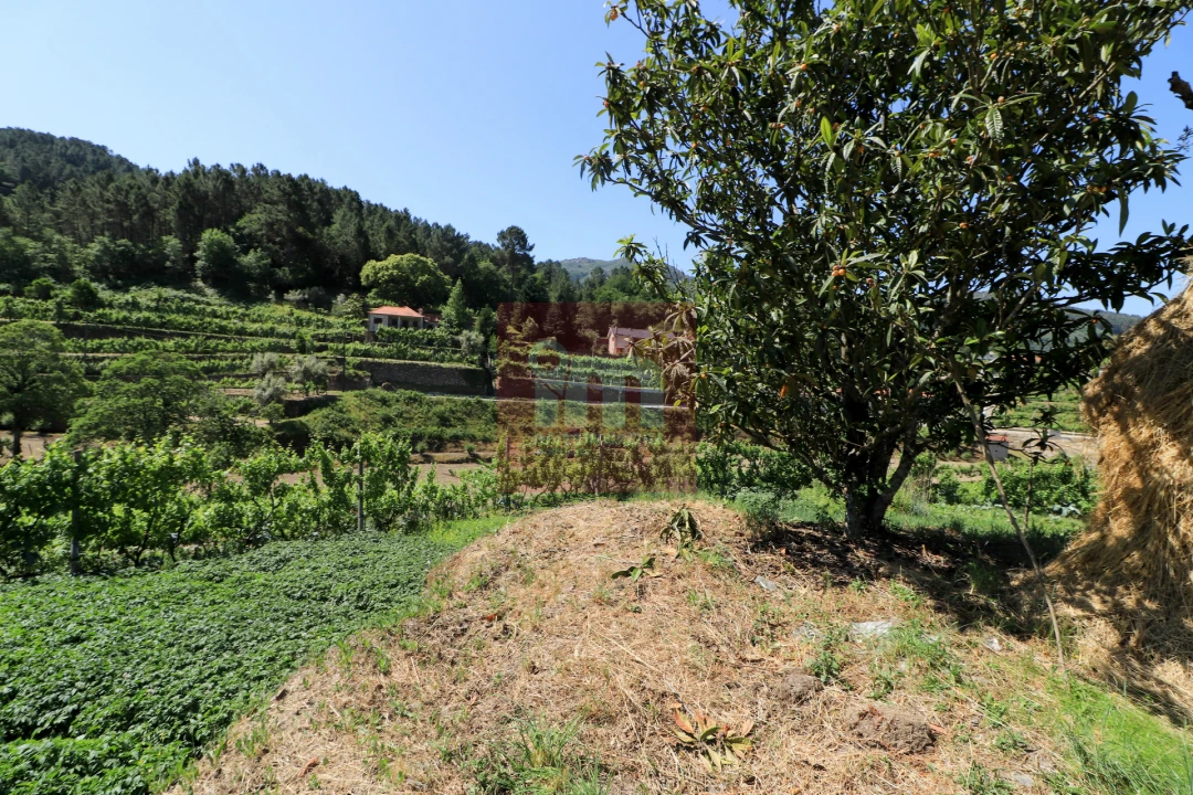 Quinta T0 para Venda em Amarante (São Gonçalo), Madalena, Cepelos e Gatão Foto 36