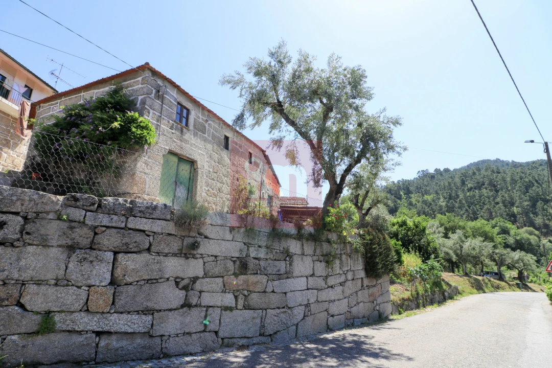 Quinta T0 para Venda em Amarante (São Gonçalo), Madalena, Cepelos e Gatão Foto 1
