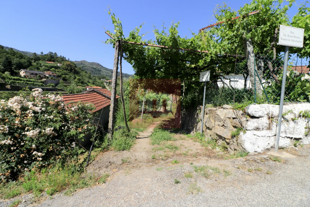 Quinta T0 para Venda em Amarante (São Gonçalo), Madalena, Cepelos e Gatão Foto 34