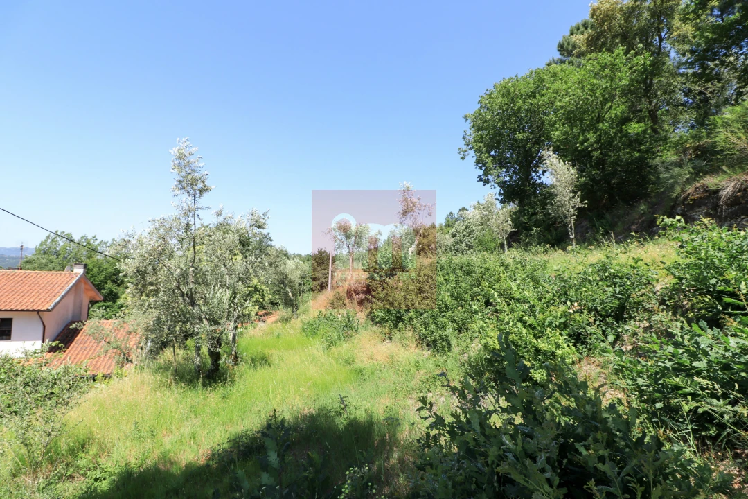 Quinta T0 para Venda em Amarante (São Gonçalo), Madalena, Cepelos e Gatão Foto 23