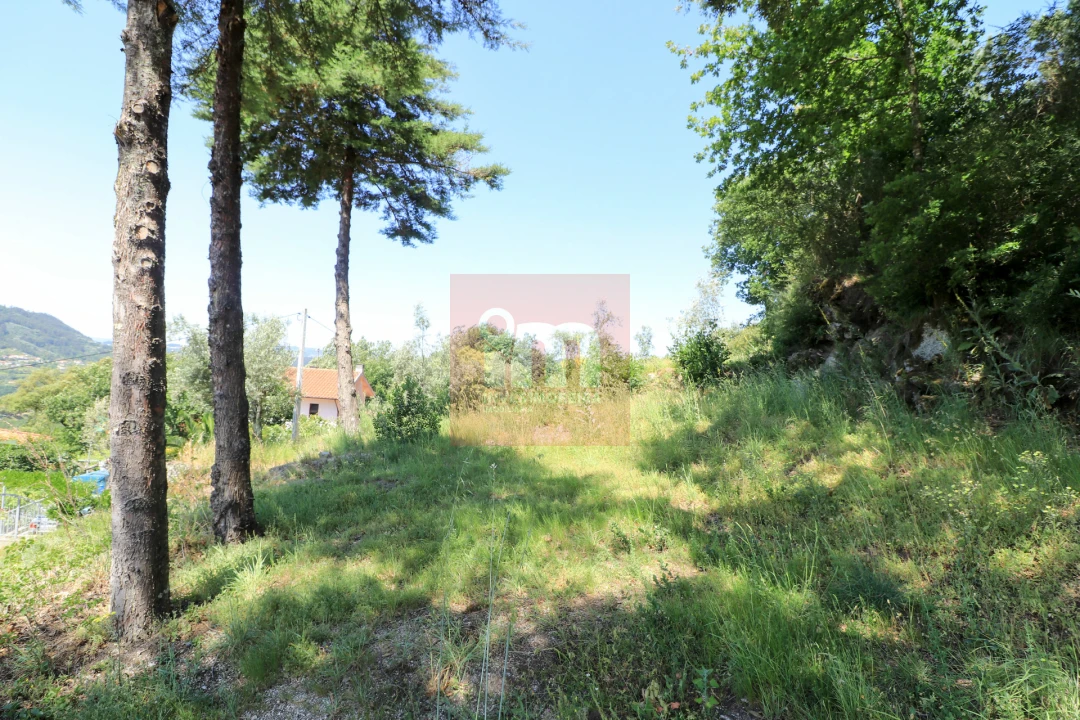 Quinta T0 para Venda em Amarante (São Gonçalo), Madalena, Cepelos e Gatão Foto 22