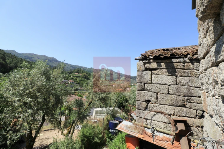 Quinta T0 para Venda em Amarante (São Gonçalo), Madalena, Cepelos e Gatão Foto 6