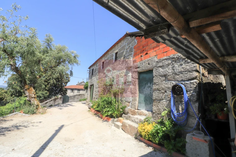 Quinta T0 para Venda em Amarante (São Gonçalo), Madalena, Cepelos e Gatão Foto 10