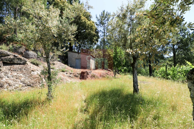 Quinta T0 para Venda em Amarante (São Gonçalo), Madalena, Cepelos e Gatão Foto 52