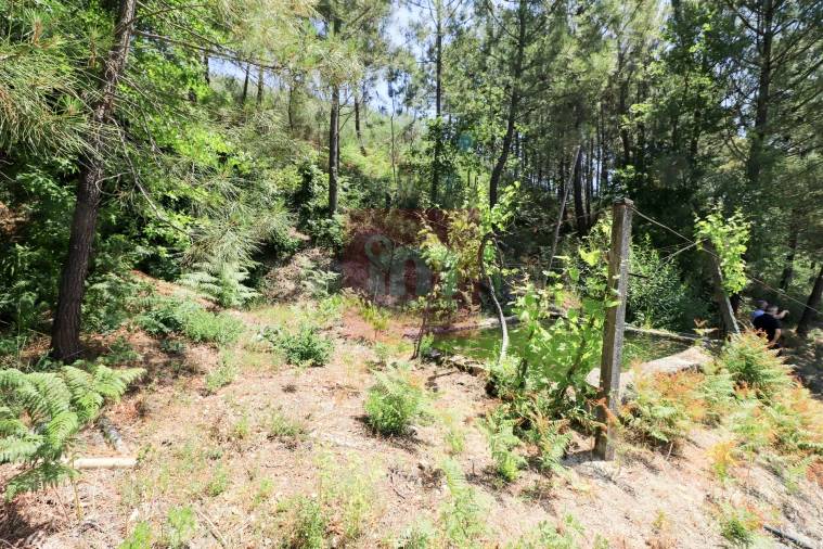 Quinta T0 para Venda em Amarante (São Gonçalo), Madalena, Cepelos e Gatão Foto 50