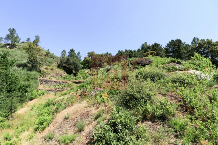 Quinta T0 para Venda em Amarante (São Gonçalo), Madalena, Cepelos e Gatão Foto 44