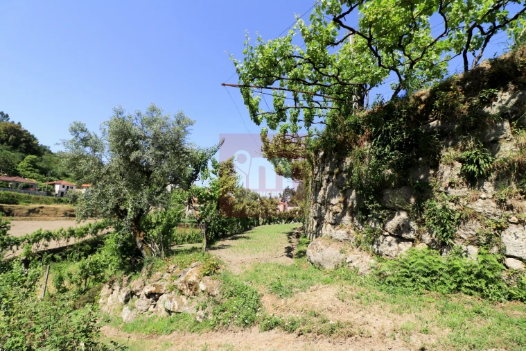 Quinta T0 para Venda em Amarante (São Gonçalo), Madalena, Cepelos e Gatão Foto 41