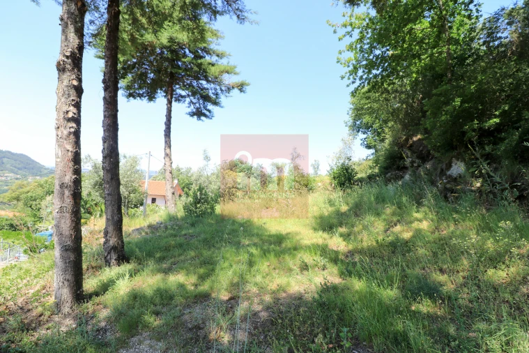 Quinta T0 para Venda em Amarante (São Gonçalo), Madalena, Cepelos e Gatão Foto 22