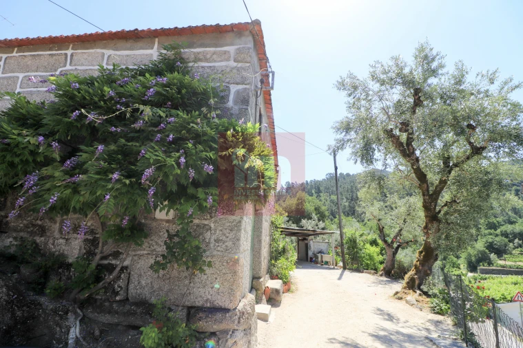 Quinta T0 para Venda em Amarante (São Gonçalo), Madalena, Cepelos e Gatão Foto 4