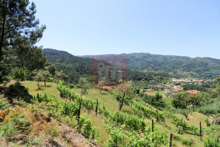Quinta T0 para Venda em Amarante (São Gonçalo), Madalena, Cepelos e Gatão Foto 49