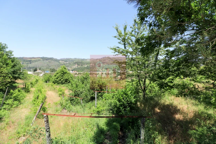 Quinta T0 para Venda em Amarante (São Gonçalo), Madalena, Cepelos e Gatão Foto 29