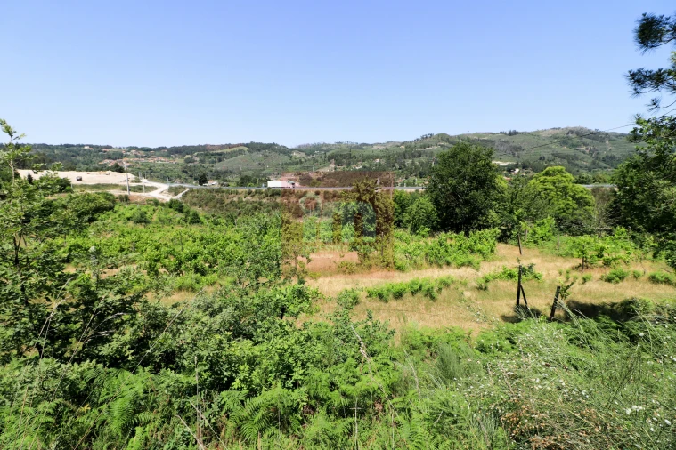 Quinta T0 para Venda em Amarante (São Gonçalo), Madalena, Cepelos e Gatão Foto 27
