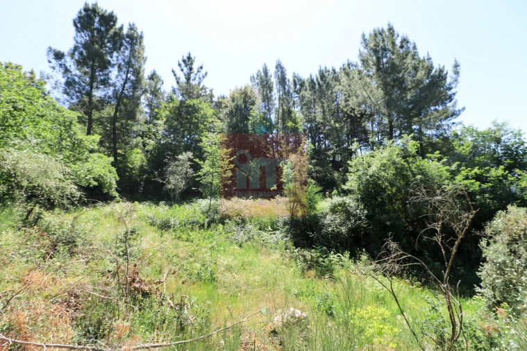 Quinta T0 para Venda em Amarante (São Gonçalo), Madalena, Cepelos e Gatão Foto 21