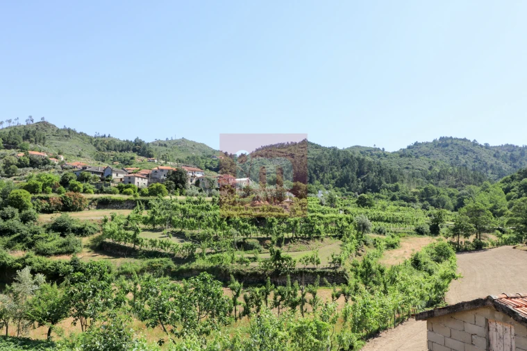 Quinta T0 para Venda em Amarante (São Gonçalo), Madalena, Cepelos e Gatão Foto 33