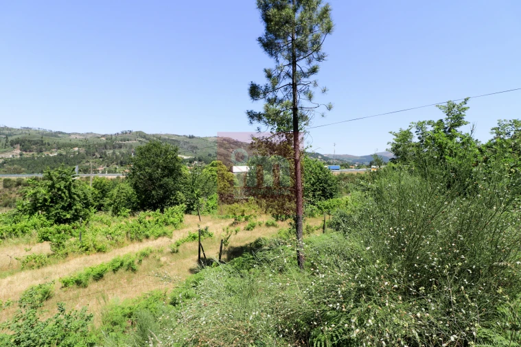 Quinta T0 para Venda em Amarante (São Gonçalo), Madalena, Cepelos e Gatão Foto 28