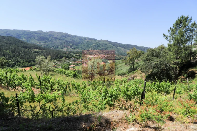 Quinta T0 para Venda em Amarante (São Gonçalo), Madalena, Cepelos e Gatão Foto 51